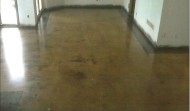 Polished Concrete